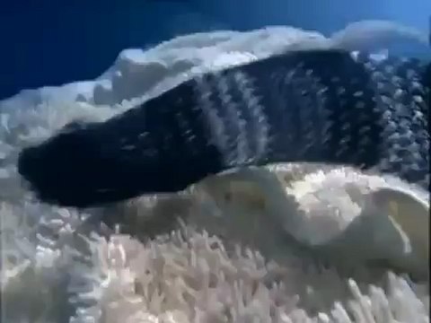 SỬA điều hòa tại MỄ TRÌ 0936110049- - YouTube.FLV - YouTube_2