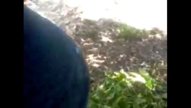 habitudes nabeuliennes