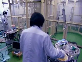 Das Chimpcam Projekt (1 von 6)