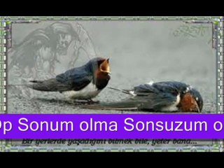 Hani verdiğin sözler hani www.sesliberaberiz.com www.silaninsesi.com