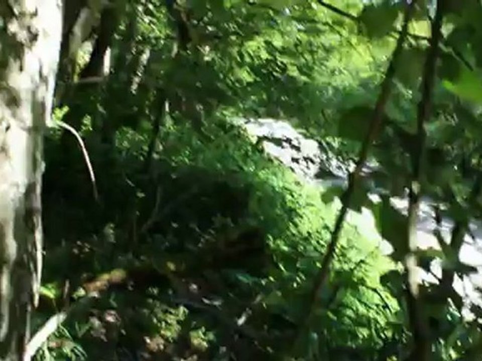 Rallye des Vins Mâcon 2012 - C. Rigollet