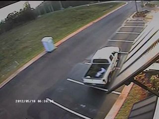 Stop Thief! Plant Stealing in Flowery Branch GA
