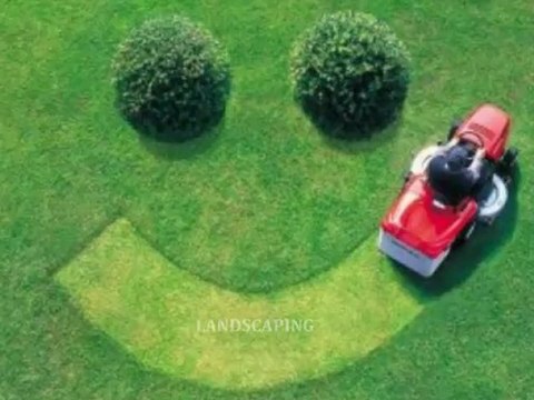 PAINTING, LADY, LAKE, FL, FLORIDA, Painting Lady Lake Fl