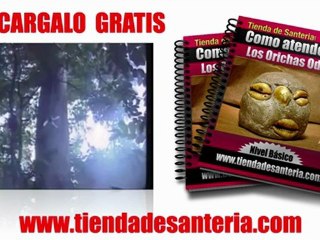 Como atender a los guerreros