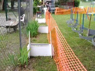 INITIATION FLYBALL GEEK LE JACK RUSSEL