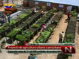 (VÍDEO) Más de 21 mil unidades de agricultura urbana y periurbana en Venezuela