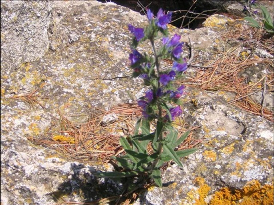 vacances de mai 2012