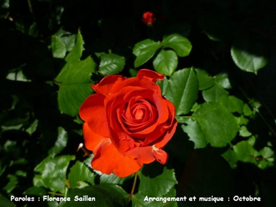 Hommage à Louis Aaragon
