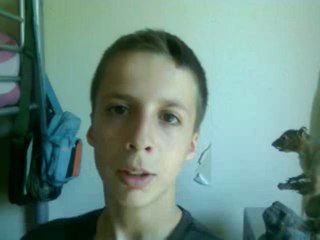 une sourie verte