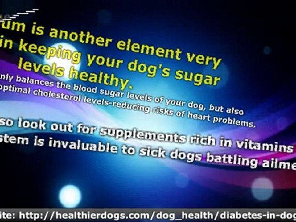 Pet Diabetes Supplements to Help in Controlling Canine Diabetes