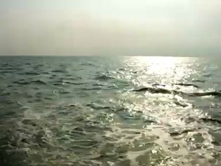 (28) Back of the Ferry with birds