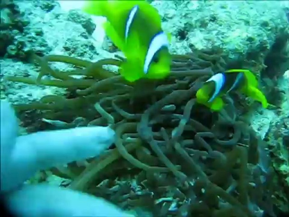 hurghada_mars2012