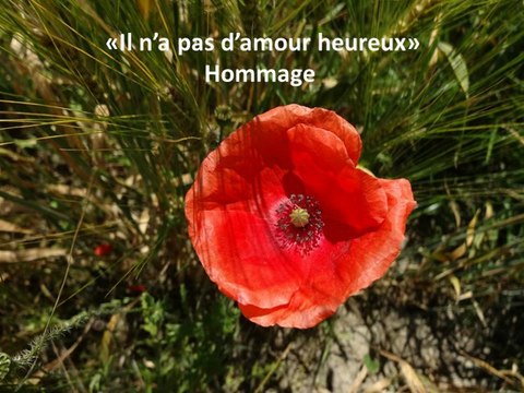 Hommage au poème Il n'y a pas d'amour heureux