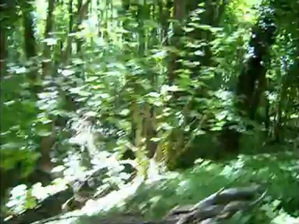 Sortie VTT fête des pères 2012