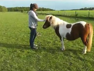 lilou