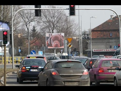 TELEBIMY KUJAWSKO-POMORSKIE TEL 782 666 777