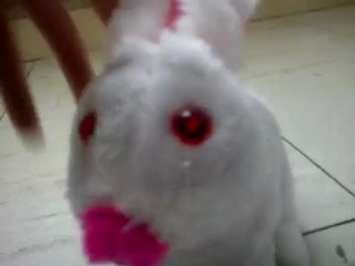 lapin blanc au nez rose