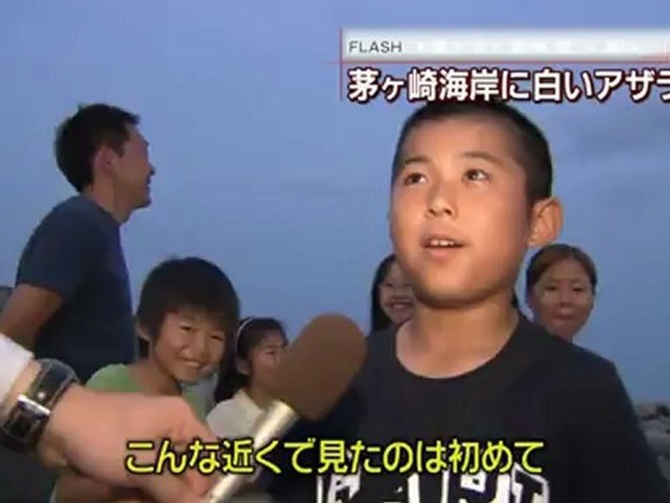 あざらし 2012-06-18