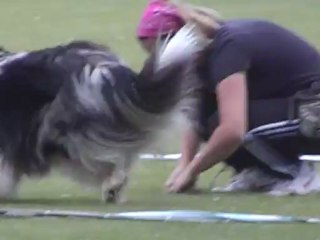 cavage pradines 2012 velvet