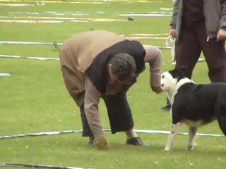 cavage pradines 2012 elya