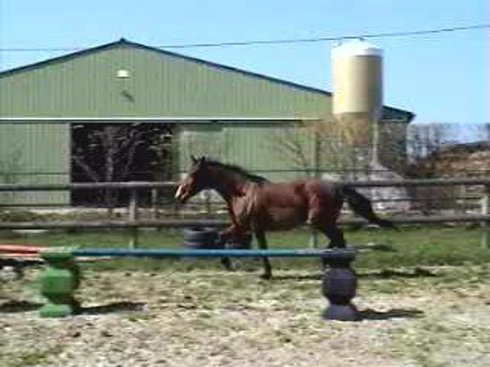 Lady oxer