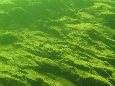 Formation Nitrox en lac au SUB AQUA CLUB JOVICIEN 16 juin 2012