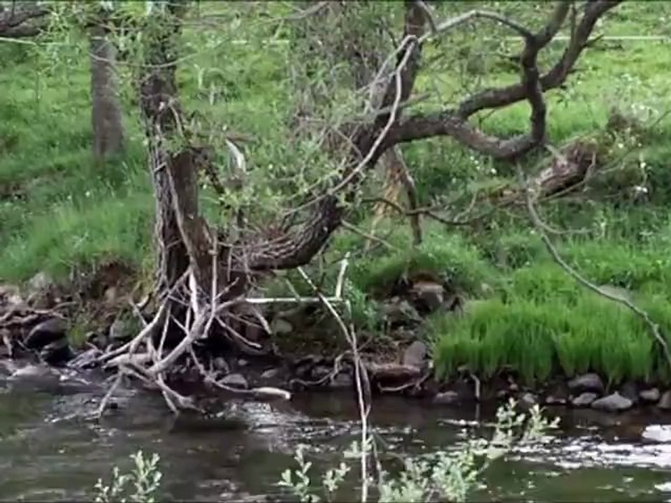 Rios Orza y Tuerto.-Leòn.//By Leorrojo.