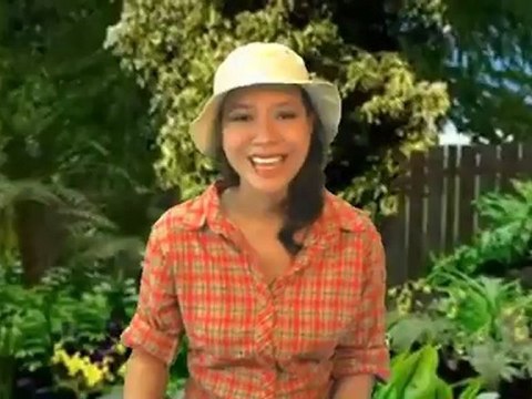 Achla Designs Birding Pole Top w/ 2 Bracket Holders, Birding Pole Systems Review