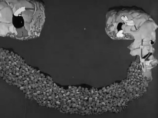 Stealin' Ain't Honest (Commentary)