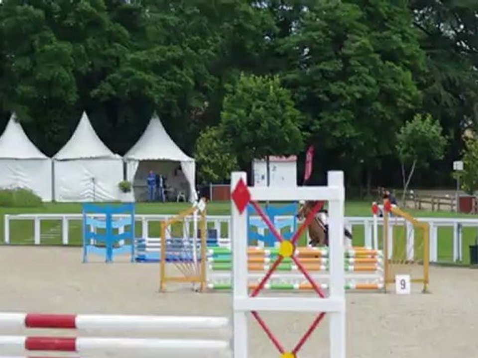 Understand - Le lion d'Angers- 16 juin 2012