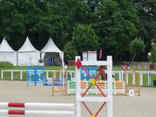 Understand - Le lion d'Angers- 16 juin 2012