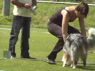 cavage pradines 2012 deiwel