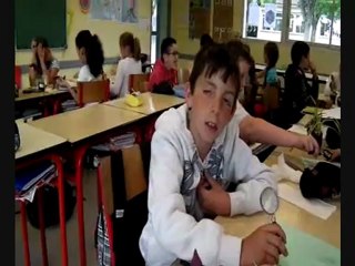 sciences cycle 3 fonctionnement du vivant fv-mr-s2-e4