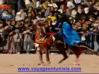 Voyage Tozeur