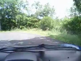 Spiderencontre 2012 - Montagne bourbonnaise