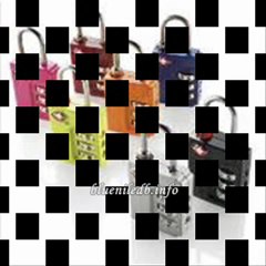 Conair Travel Smart Travel Sentry Padlock