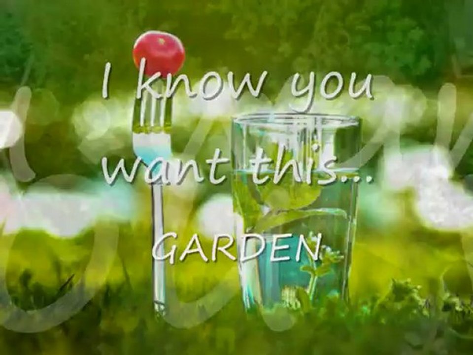 Signs of Poor Lawn Aeration