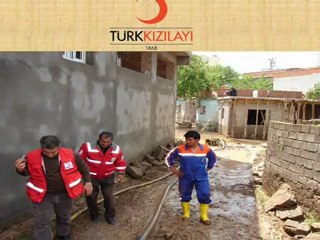 kızılay derneği muş şube başkanlığı
