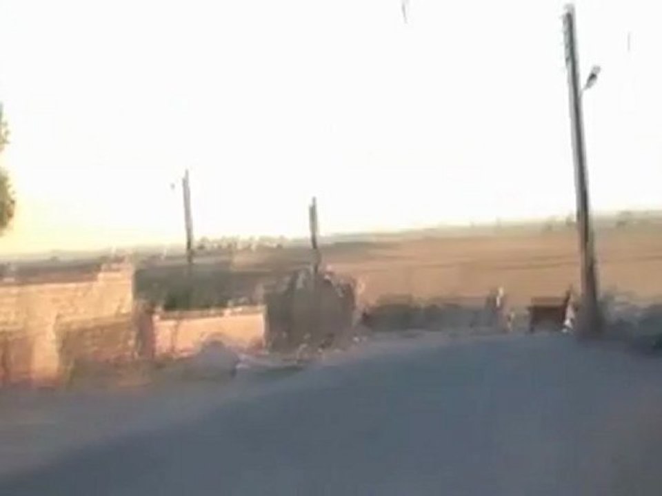 ratel-saraqeb