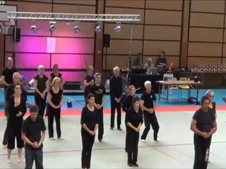 démonstration tai chi chuan coupe du samourai 2012