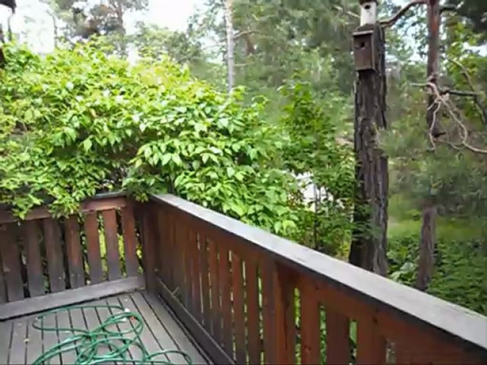 Film på Revis 17 och  18 Juni -12. Med text och musik.