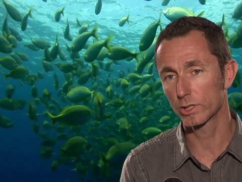 Paroles d'aires marines : Bruno FERRARI