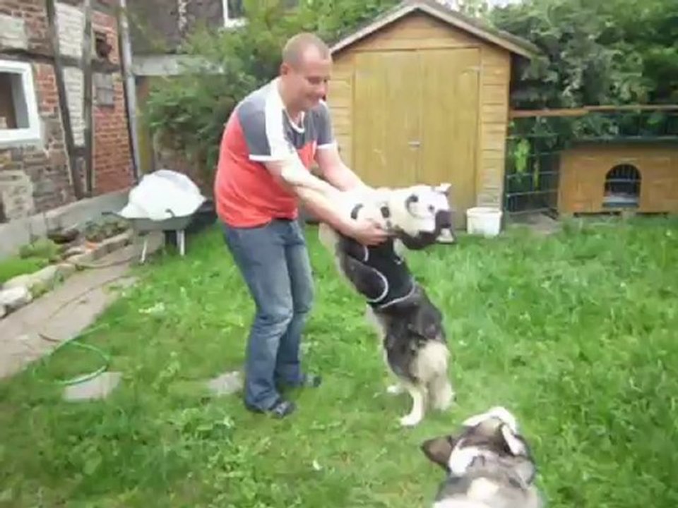 Nachmittags im Garten schmusen