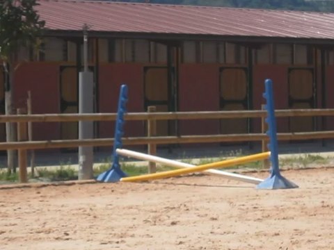 British et moi pour le galop 2 :)