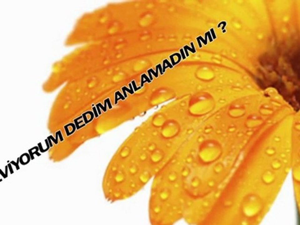 Çiğdem Yarkın - O yâr benim olacak