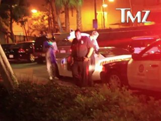 Will I Am se embarquer sa voiture