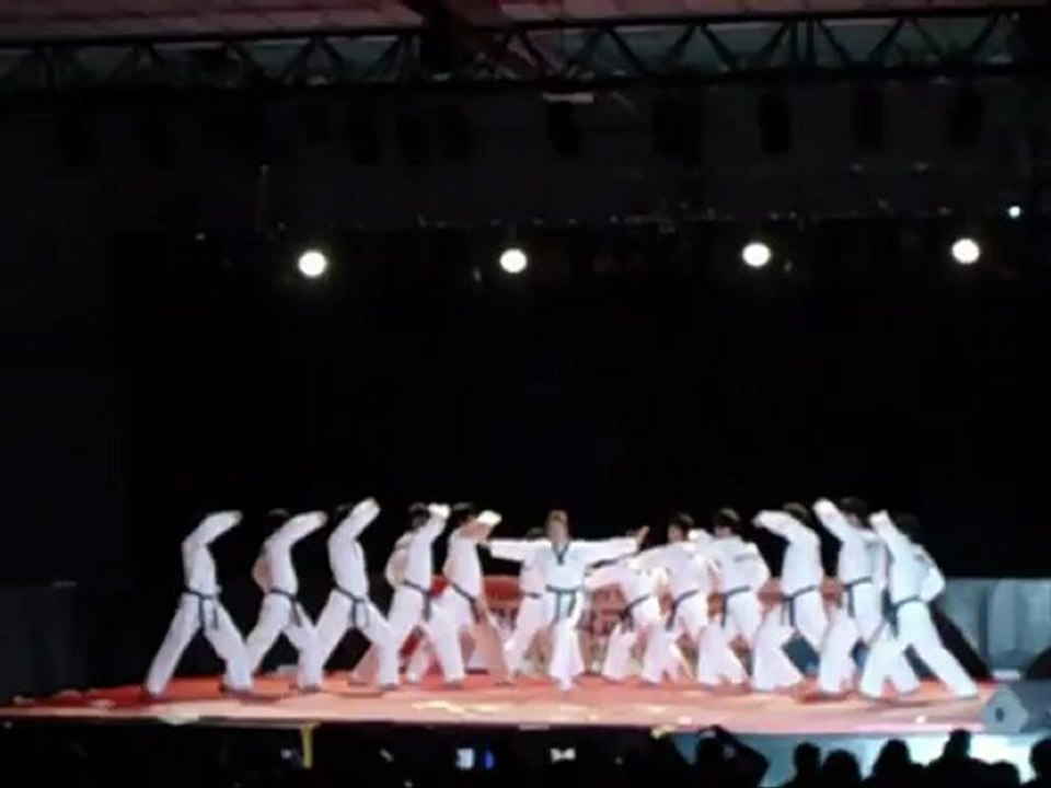 Demo Taekwondo 17/06/2012
