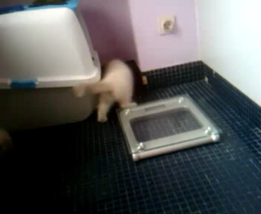 video-2012-06-18-12-15-07.3gp