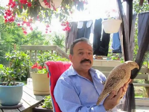 Metin KARATAŞ : Cahil Bilmez: Söz Yazarı: Ali DUMAN