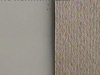 (Annecy 2012) Palmarès - The Making of Longbird